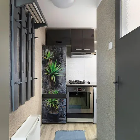 公寓 Elite Brzezno Seaside