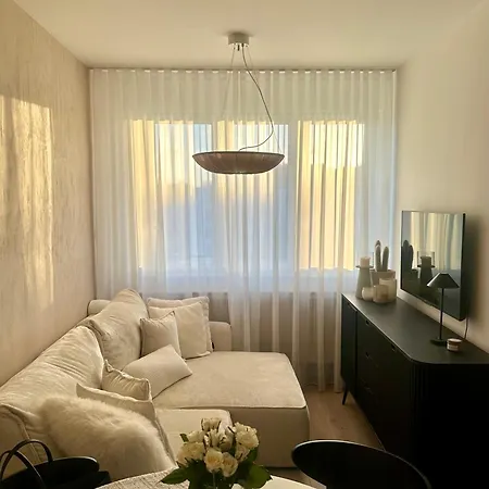 公寓 Elite Brzezno Seaside 格但斯克