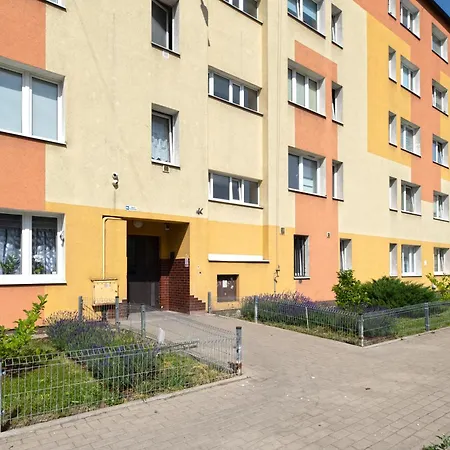 Elite Brzezno Seaside 公寓