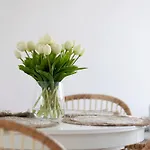 Elite Brzezno Seaside Daire